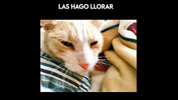 El Gato Kcheraso Pe De Sjl Se Corre En Todas Las ñofis thumbnail