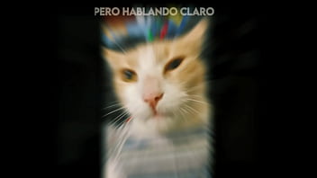 El gato kcheraso pe de sjl se corre en todas las ñofis