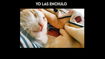 El gato kcheraso pe de sjl se corre en todas las ñofis
