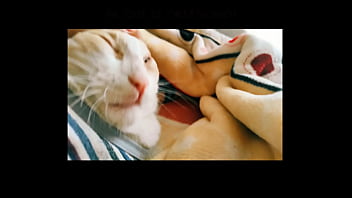 El Gato Kcheraso Pe De Sjl Se Corre En Todas Las ñofis thumbnail