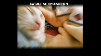 El gato kcheraso pe de sjl se corre en todas las ñofis