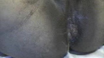 Webcam 11 11 11 09 11 05