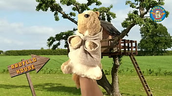 Un peluche quiere sobresalir con su talento Un peluche quiere sobresalir con su talento
