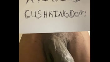 Verification video