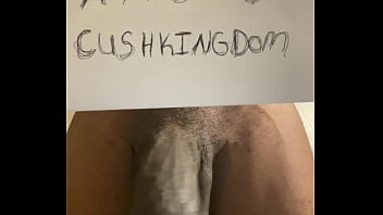 Verification video