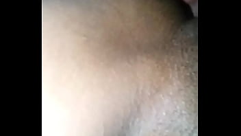 Palominha ataca de novo