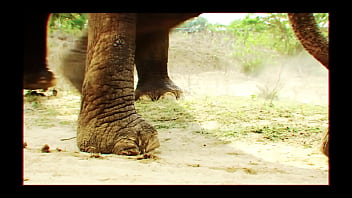 Bradnewman update #114 s3xus luna star intro may 03 2025