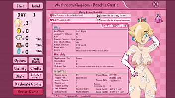 Gameplay mario is missing princess castle config