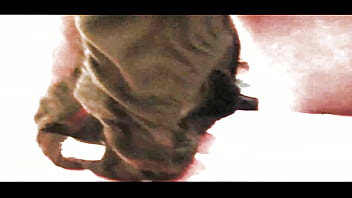 Sweet cups for the morning