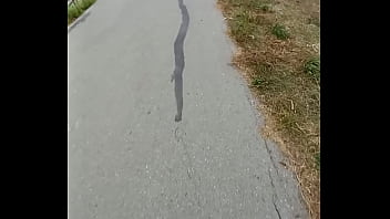 Mujer caliente se sorprende por mi bulto