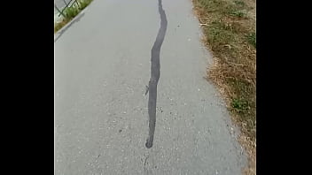 Mujer caliente se sorprende por mi bulto