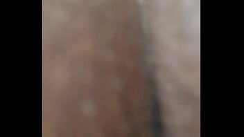 Lizamonet update #150 oct 03 2020