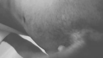 A procura de um bundão gostoso pra molhar essa piroca