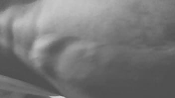 A procura de um bundão gostoso pra molhar essa piroca