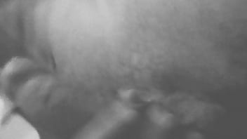 A procura de um bundão gostoso pra molhar essa piroca