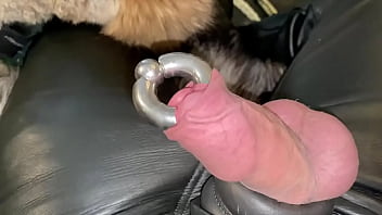 Blh With Big Leather Cockring thumbnail