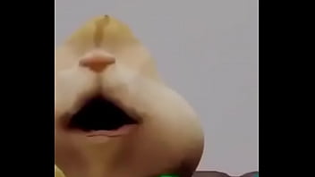 Un saludo para todos los curifeos y en especial a cavifax