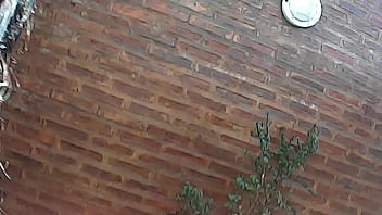 Outdoor milf pissing