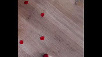 Bonjour les zamours je vous souhaite une très belle journée