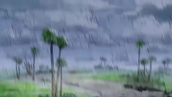 Jojos bizarre adventure op 11