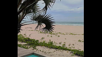 Une chambre qui donne sur la plage et l'océan et envie de me faire enculer