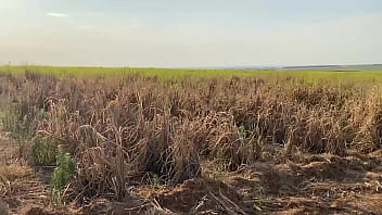Casada infiel encontra colega de academia e acaba aceitando a proposta para fuder dentro do mato a safada meteu gostoso no pelo e pediu leite no bunda