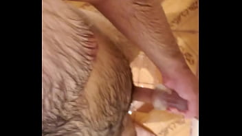 Small Cock Bear thumbnail