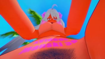 Video de vérification