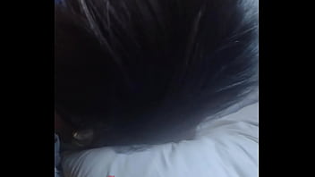 Só no cuzinho manhoso da preta