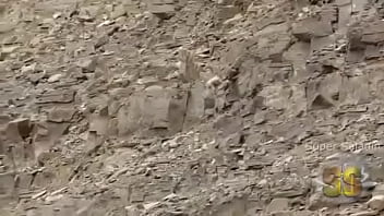 Video bokep part 52556665