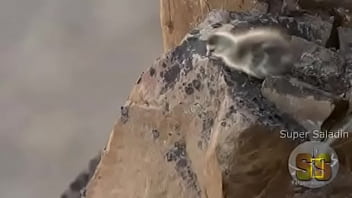 Video bokep part 52556665