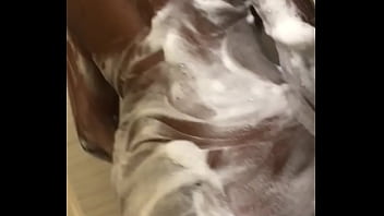 Ms blue3x shower part 1