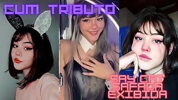 Vídeo de verificação