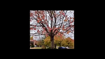 A blog about every other remake of songs that have the first time we made love lyrics while listening to newer ones of them for free and for fun