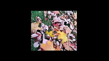 A blog about every other remake of songs that have the first time we made love lyrics while listening to newer ones of them for free and for fun