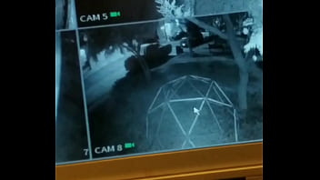 La espió mientras pasea su perro