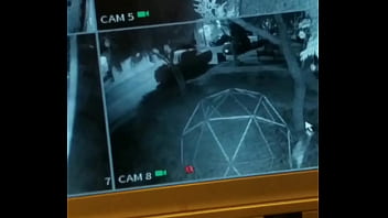 La espió mientras pasea su perro