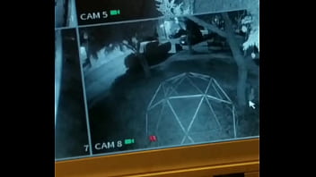 La espió mientras pasea su perro