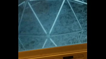 La espió mientras pasea su perro