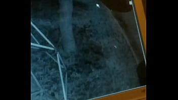 La espió mientras pasea su perro