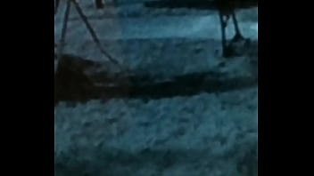 La espió mientras pasea su perro