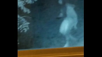 La espió mientras pasea su perro