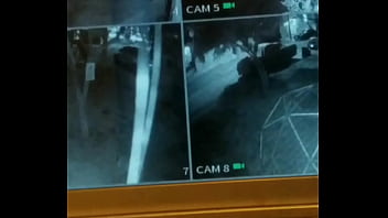 La espió mientras pasea su perro