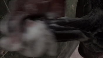 Bath time how to properly wash the d