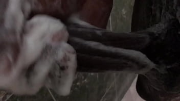 Bath time how to properly wash the d