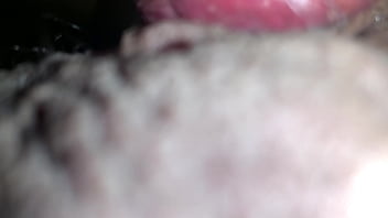 Bi weekly reward for everything i do