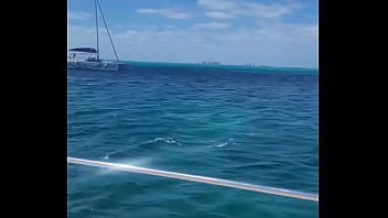 Flashing on the front of a yacht temptationrs