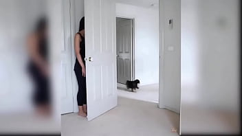 Puppy compilation 92