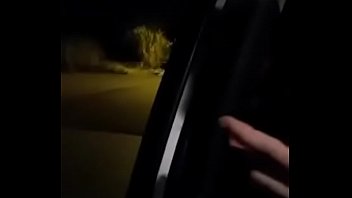 Trans Campineira 200 Com Local thumbnail