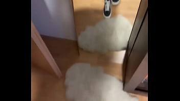 Sunday #feet #feetworld #fetisch girl creator #socks #soles #vans #whitesocks